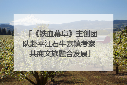 《铁血幕阜》主创团队赴平江石牛寨镇考察 共商文旅融合发展