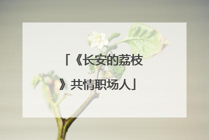 《长安的荔枝》共情职场人