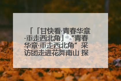 「甘快看·青春华章·重走西北角」“青春华章·重走西北角”采访团走进花舞南山 探寻天水乡村振兴之路