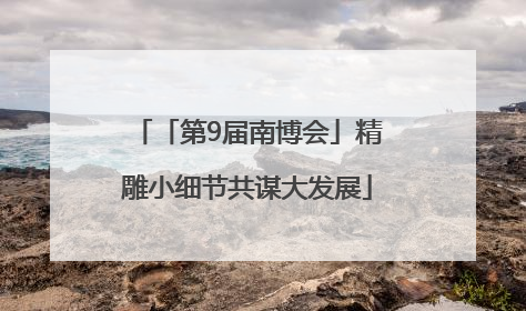 「第9届南博会」精雕小细节共谋大发展