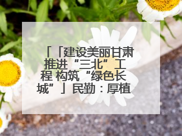 「建设美丽甘肃 推进“三北”工程 构筑“绿色长城”」民勤：厚植生态底色 筑牢绿色屏障