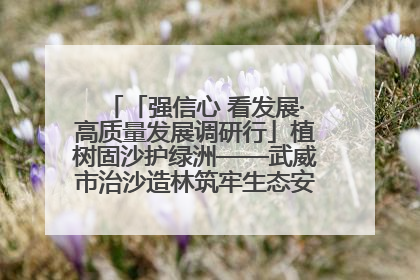 「强信心 看发展·高质量发展调研行」植树固沙护绿洲——武威市治沙造林筑牢生态安全屏障见闻