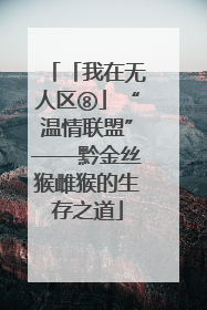 「我在无人区⑧」“温情联盟”——黔金丝猴雌猴的生存之道