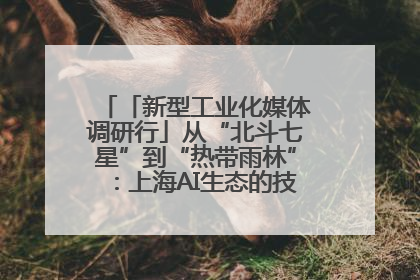 「新型工业化媒体调研行」从“北斗七星”到“热带雨林”：上海AI生态的技术商业共生密码