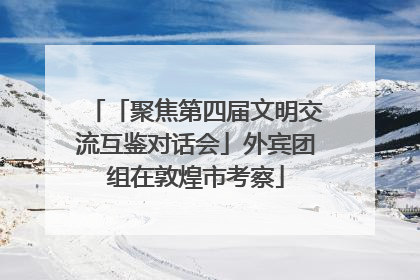 「聚焦第四届文明交流互鉴对话会」外宾团组在敦煌市考察