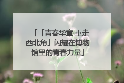 「青春华章·重走西北角」闪耀在博物馆里的青春力量