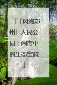 「风物郑州」人民公园：闹市中的生态宝藏