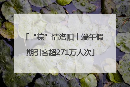 “粽”情洛阳丨端午假期引客超271万人次