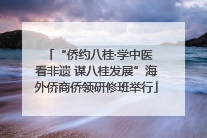 “侨约八桂·学中医 看非遗 谋八桂发展”海外侨商侨领研修班举行