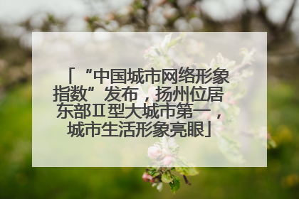 “中国城市网络形象指数”发布，扬州位居东部Ⅱ型大城市第一，城市生活形象亮眼
