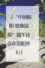 “中国陵阳·致敬屈原”端午诗会在青阳举行