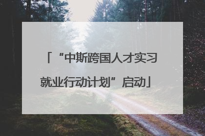 “中斯跨国人才实习就业行动计划”启动