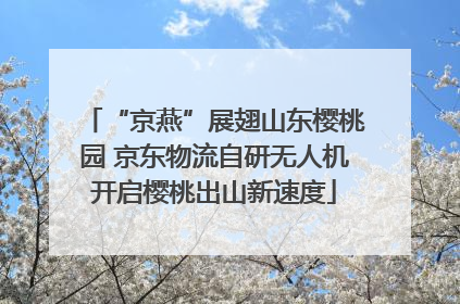 “京燕”展翅山东樱桃园 京东物流自研无人机开启樱桃出山新速度