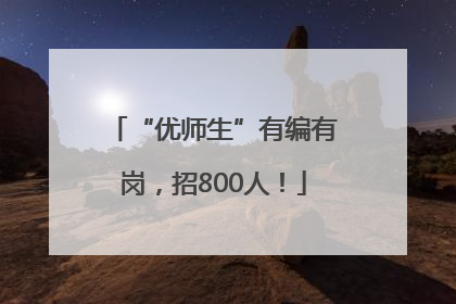 “优师生”有编有岗，招800人！