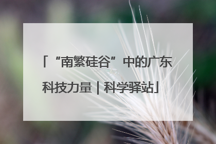 “南繁硅谷”中的广东科技力量｜科学驿站