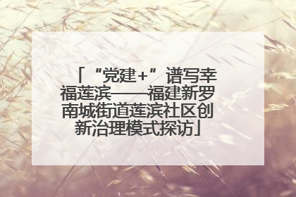 “党建+”谱写幸福莲滨——福建新罗南城街道莲滨社区创新治理模式探访
