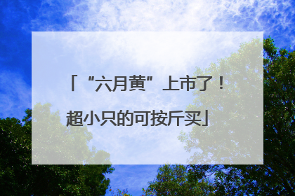“六月黄”上市了！超小只的可按斤买
