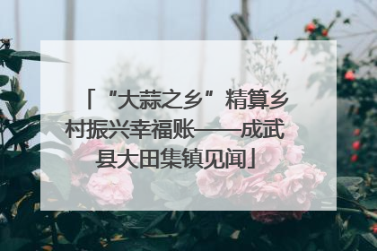 “大蒜之乡”精算乡村振兴幸福账——成武县大田集镇见闻