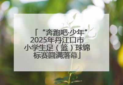 “奔跑吧·少年”2025年丹江口市小学生足（篮）球锦标赛圆满落幕