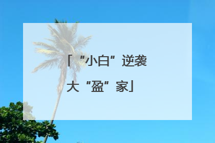 “小白”逆袭大“盈”家