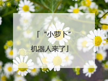 “小萝卜”机器人来了