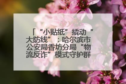 “小贴纸”撬动“大防线”：哈尔滨市公安局香坊分局“物流反诈”模式守护群众“钱袋子”