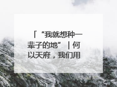 “我就想种一辈子的地”｜何以天府，我们用粮食作答②