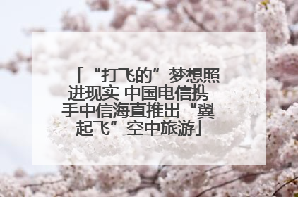 “打飞的”梦想照进现实 中国电信携手中信海直推出“翼起飞”空中旅游