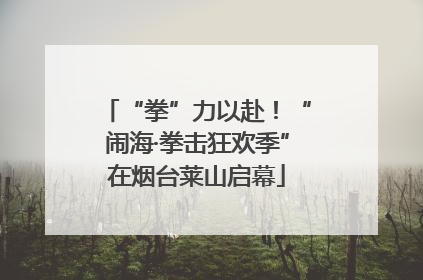 “拳”力以赴！“闹海·拳击狂欢季”在烟台莱山启幕