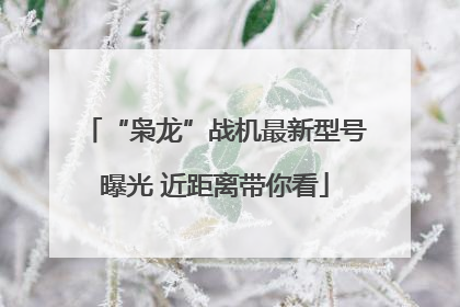 “枭龙”战机最新型号曝光 近距离带你看