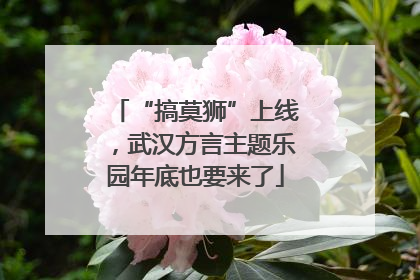 “搞莫狮”上线，武汉方言主题乐园年底也要来了