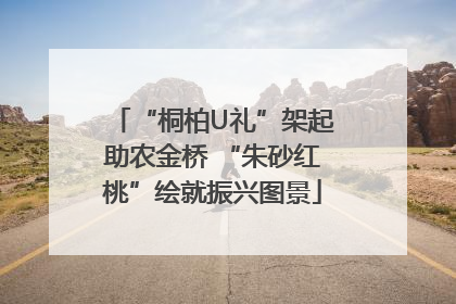 “桐柏U礼”架起助农金桥 “朱砂红桃”绘就振兴图景