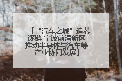 “汽车之城”追芯逐链 宁波前湾新区推动半导体与汽车等产业协同发展