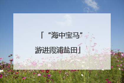 “海中宝马”游进霞浦盐田