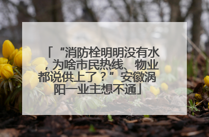 “消防栓明明没有水，为啥市民热线、物业都说供上了？”安徽涡阳一业主想不通