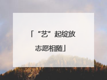 “艺”起绽放 志愿相随