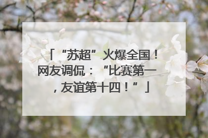 “苏超”火爆全国！网友调侃：“比赛第一，友谊第十四！”