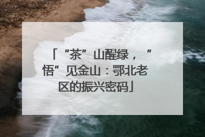 “茶”山醒绿，“悟”见金山：鄂北老区的振兴密码