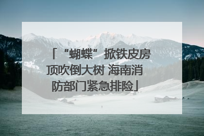 “蝴蝶”掀铁皮房顶吹倒大树 海南消防部门紧急排险