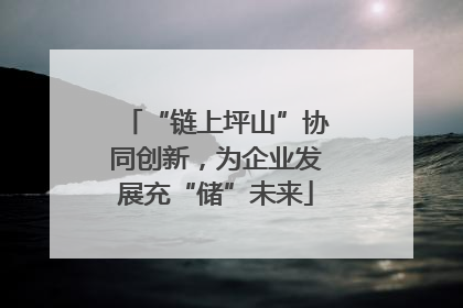 “链上坪山”协同创新，为企业发展充“储”未来