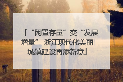 “闲置存量”变“发展增量” 浙江现代化美丽城镇建设再添新意