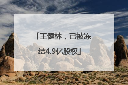 王健林，已被冻结4.9亿股权