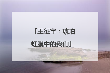 王征宇：琥珀虹膜中的我们
