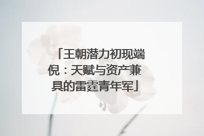 王朝潜力初现端倪：天赋与资产兼具的雷霆青年军