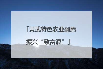 灵武特色农业翻腾振兴“致富浪”