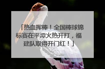 热血挥棒！全国棒球锦标赛在平潭火热开打，福建队取得开门红！