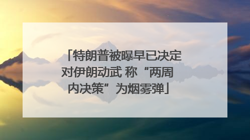 特朗普被曝早已决定对伊朗动武 称“两周内决策”为烟雾弹