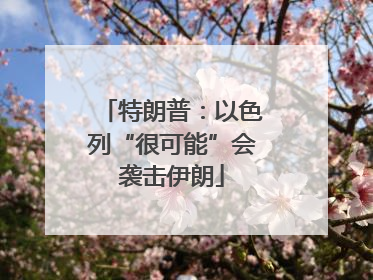 特朗普：以色列“很可能”会袭击伊朗