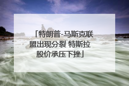 特朗普-马斯克联盟出现分裂 特斯拉股价承压下挫