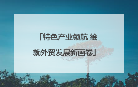 特色产业领航 绘就外贸发展新画卷